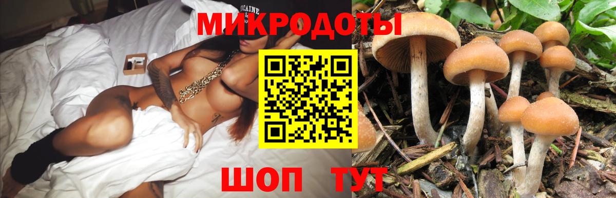 Псилоцибиновые грибы MAGIC MUSHROOMS  Псилоцибиновые грибы MAGIC MUSHROOMS  Вход с VPN  Чебоксары 