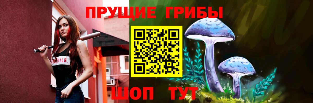 Галлюциногенные грибы Psilocybe Чебоксары